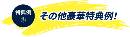その他豪華特典例