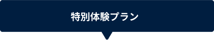 特別体験プラン