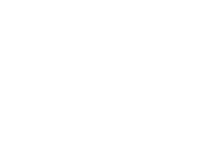 OWNER'S VOICE