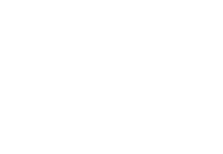 OWNER'S VOICE