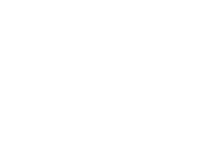 OWNER'S VOICE