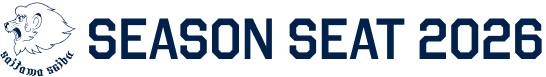 LIONS BUSINESS