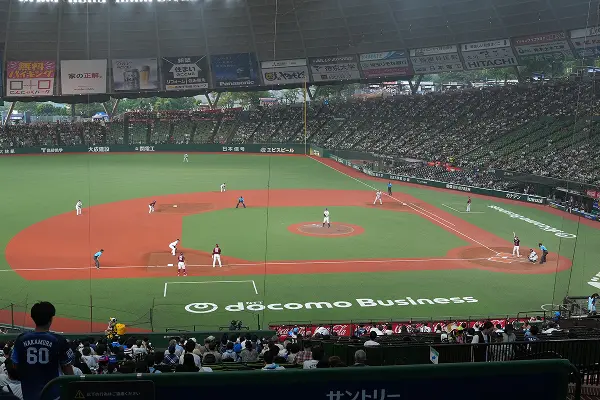 内野指定席Aの座席イメージ