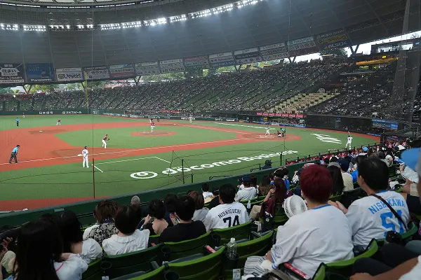 内野指定席SSの座席イメージ