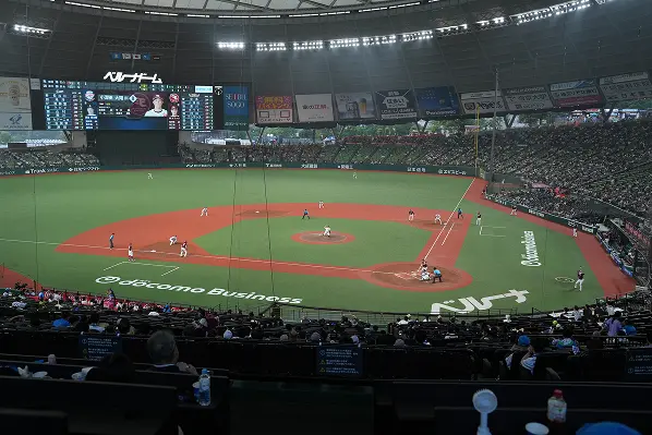 ネット裏指定席から見た球場全体のイメージ