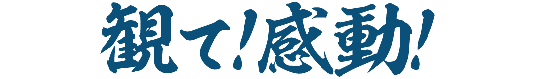 観て！感動！