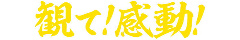観て！感動！