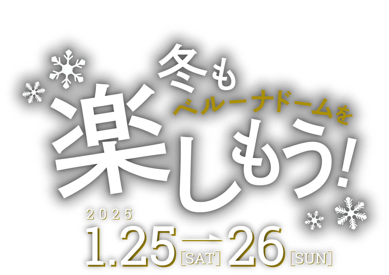 2つのイベントを同日開催！ 冬もベルーナドームを楽しもう！ 2025 1.25 - 26